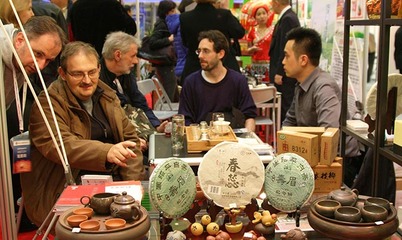中國-中東歐國家文化交流與合作(組圖)